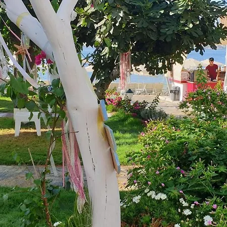 Yelken Bay Hotell *